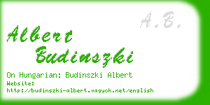 albert budinszki business card